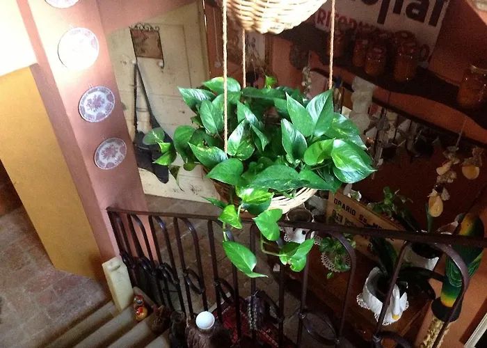 Al Porretto 마돈다 델라 프로비덴자